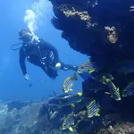 Palm Springs Bali Dive Resort