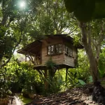 Roots Tree House