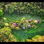 Tepi Sawah Lodge&Retreat
