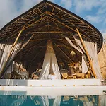 Nivriti Bali