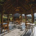 Nivriti Bali
