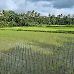 New 4 Bedroom Villa Surrounded By Jungle And Ricefields