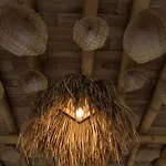 Nivriti Bali
