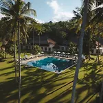 Alila Manggis