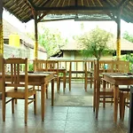 Bali Gecko Homestay