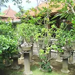 Mona Homestay