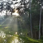 Beingsattvaa Veg.Retreat Villa