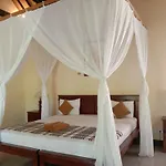 Bali Gecko Homestay