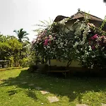 Gaia-Oasis Mountain Abasan