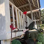 The Lucky Cottage