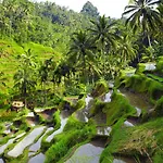 Maylie Bali Villa