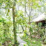 Green Vanilla Bungalow