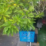 24/7 Bed & Breakfast