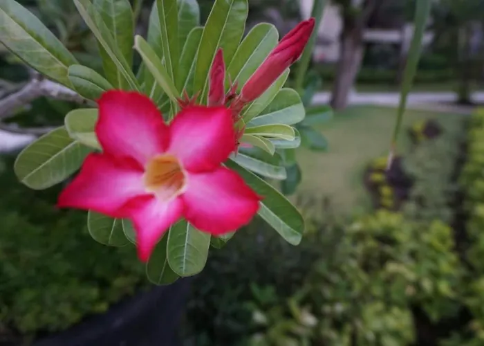Ruby Nusa Dua Bali