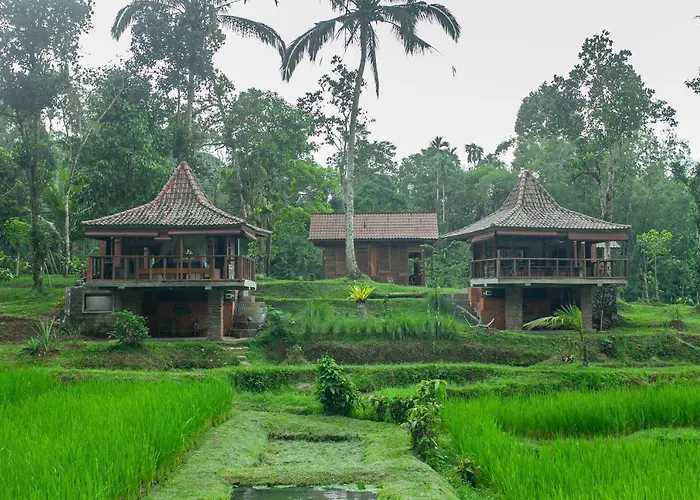 Tepi Sawah Lodge&Retreat