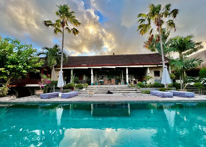 Villa Anjing