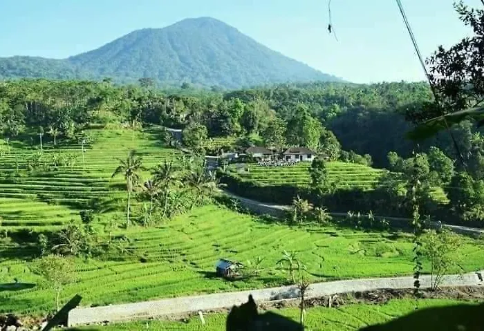Suweden Homestay