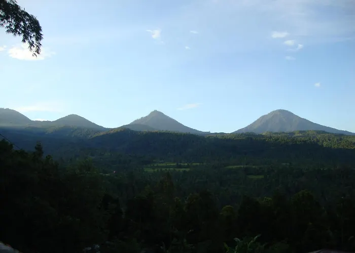 Edy Homestay