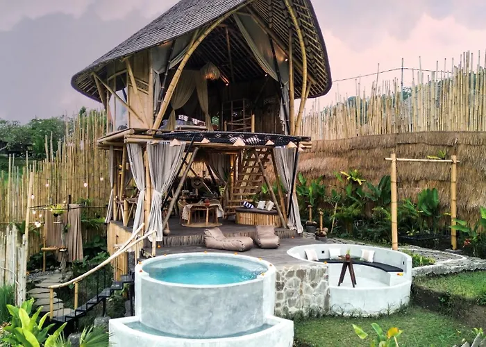 Nivriti Bali