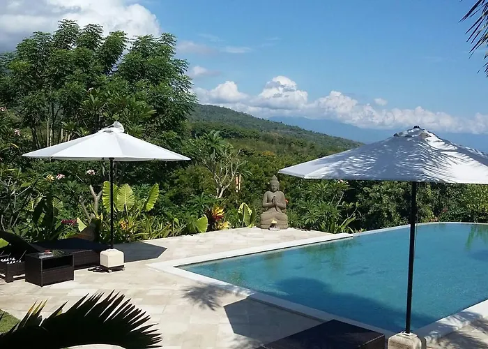Lovina Paradise
