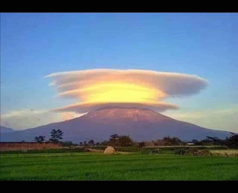 Agung Penginapan