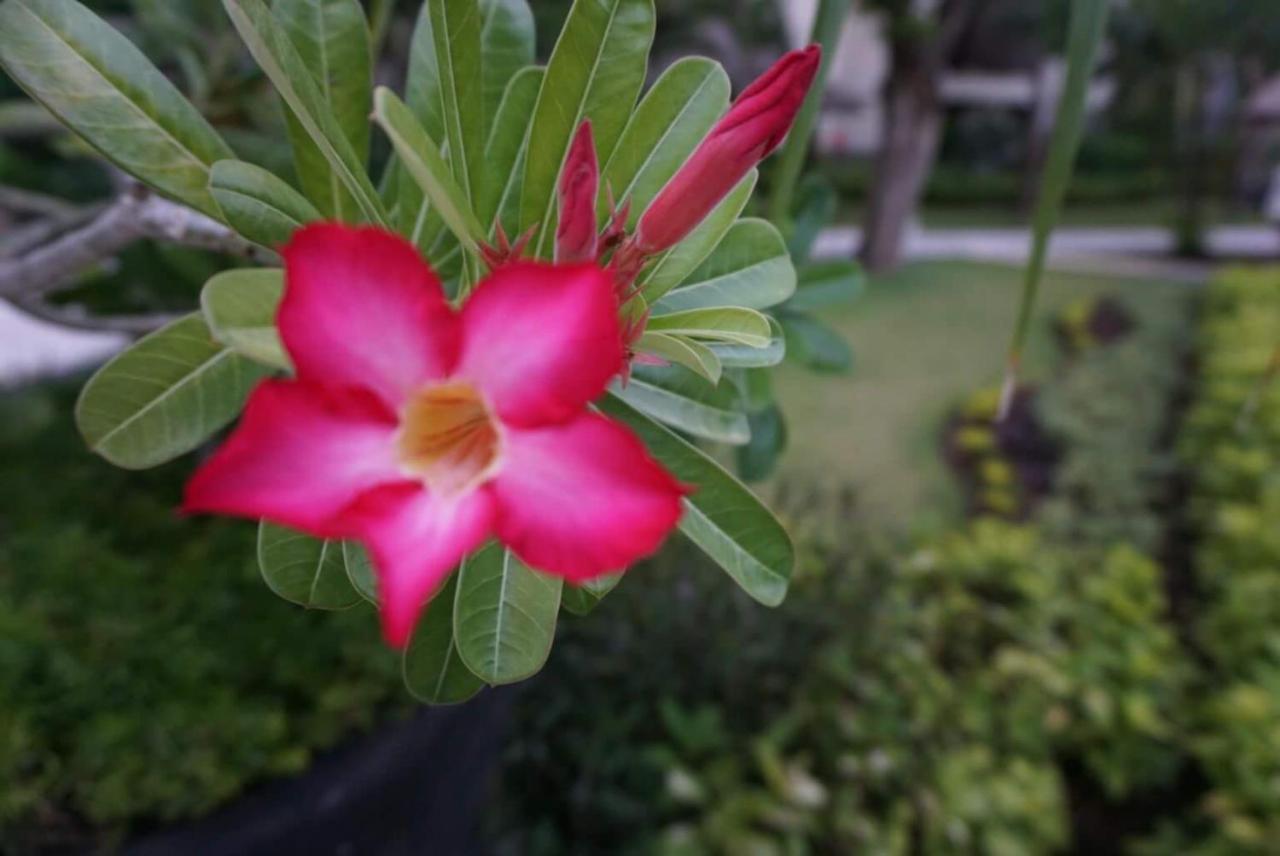 Ruby Nusa Dua Bali Aparthotel Nusa Dua (Bali)