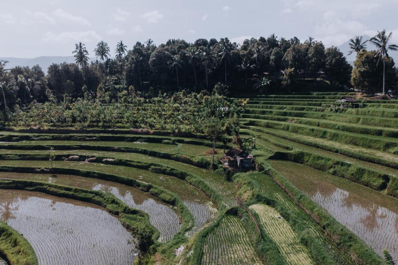 Penginapan Candra Munduk (Bali)