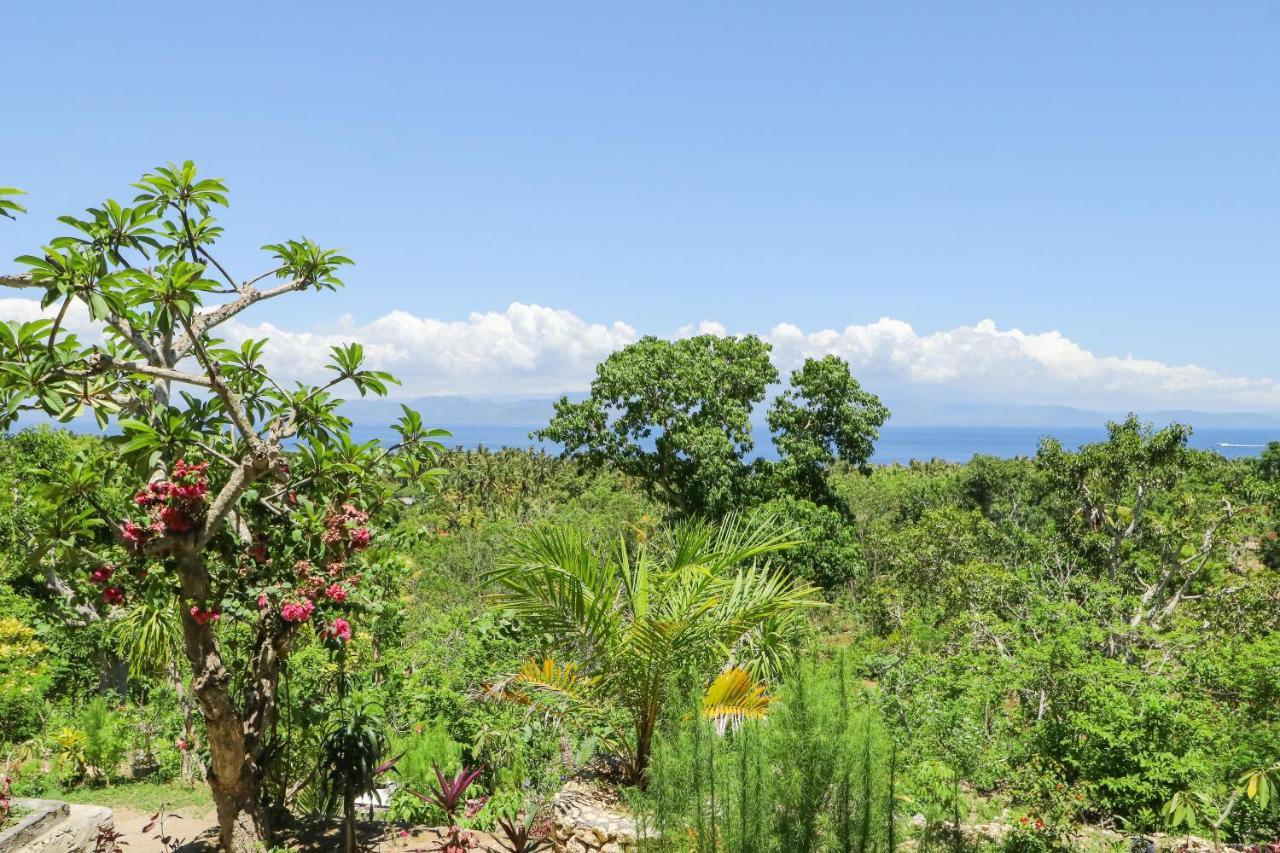 La Colina Toyapakeh