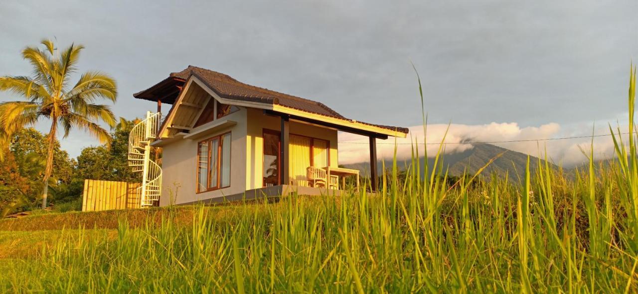 Kubu D'ume Homestay