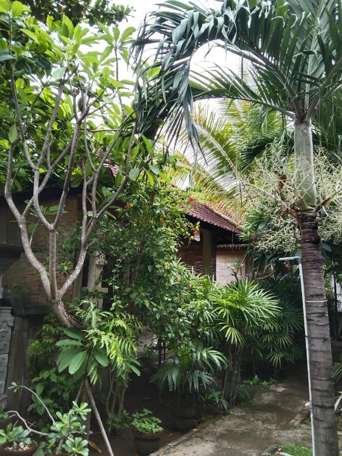 Aldi Hostel Amed (Bali)