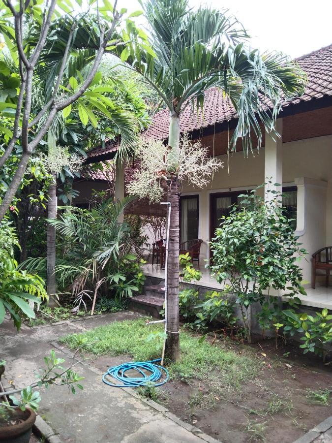 Aldi Hostel