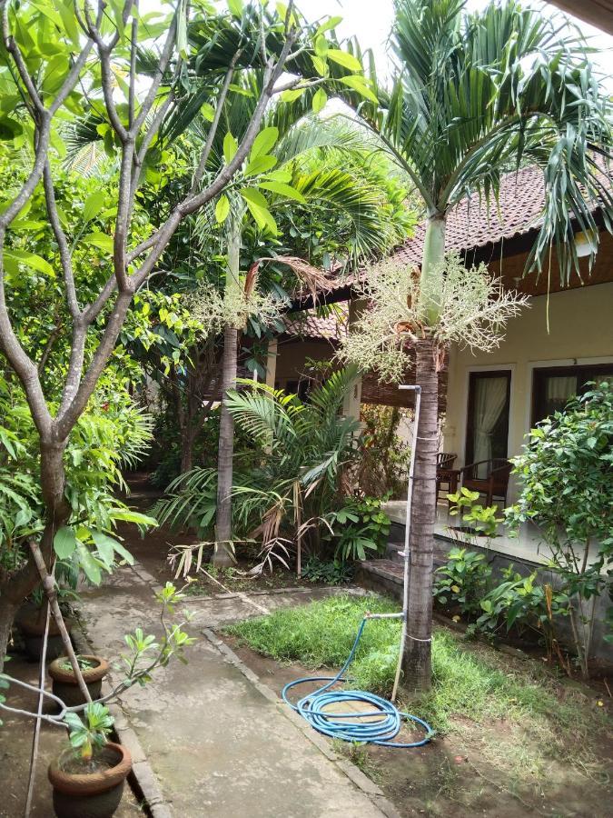 Aldi Hostel *