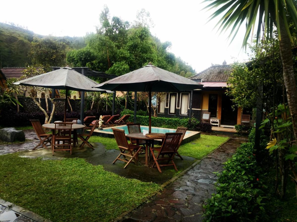 Hostel Bunbulan Hill And *