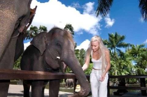 Holiday park Mason Elephant