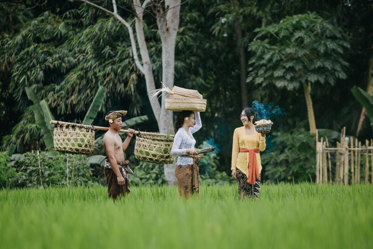 Candy By Pramana Ubud (Bali)