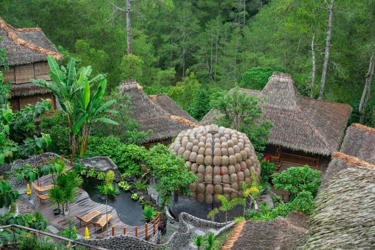 Tira Vilagna & 4* Kintamani (Bali)
