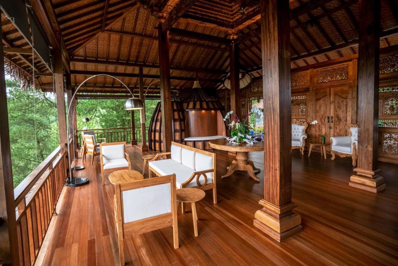 Tira Vilagna & Kintamani (Bali)