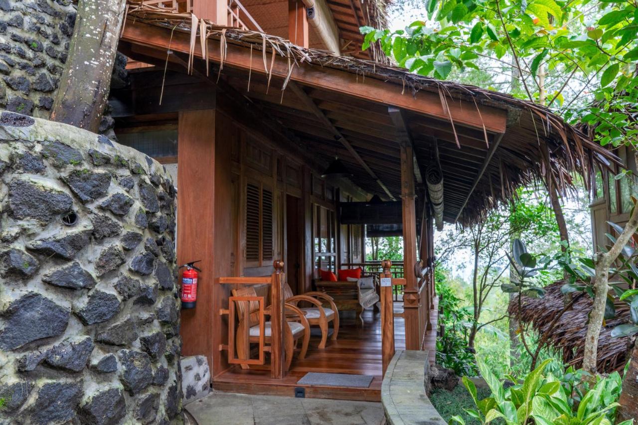 Tira Vilagna & Hotel Kintamani (Bali)