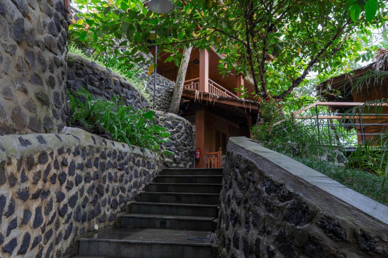 Tira Vilagna & Hotel Kintamani (Bali)