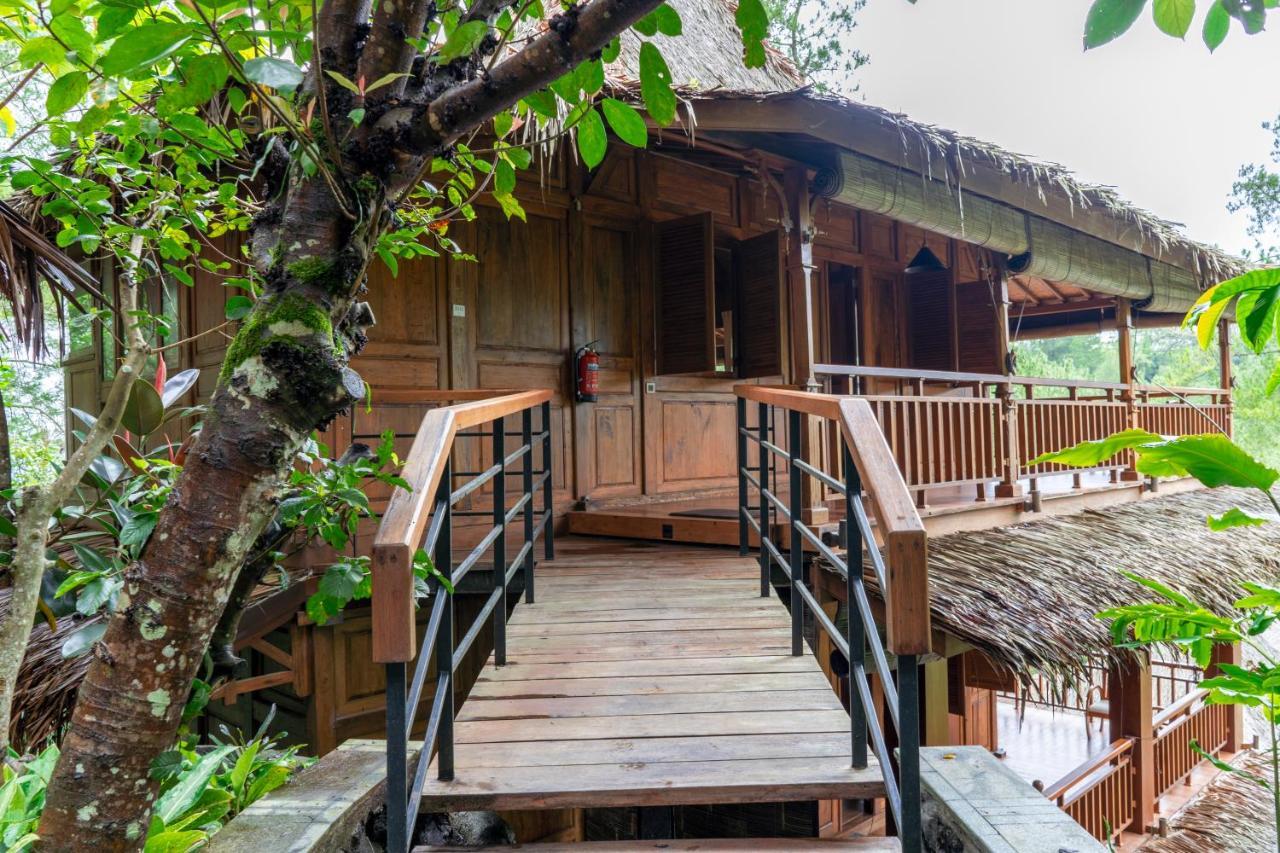 Tira Vilagna & 4* Kintamani (Bali)