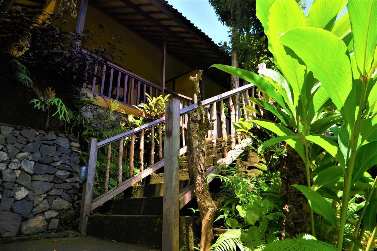 Swar Bali 2*
