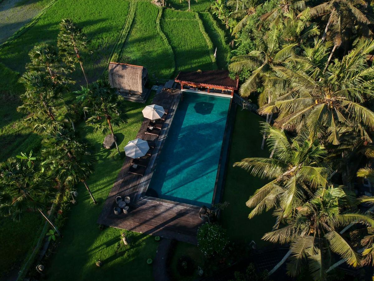 The Artini Dijiwa Hotel Ubud (Bali)