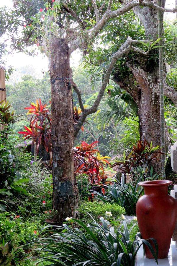 Alam Indah Ubud (Bali)