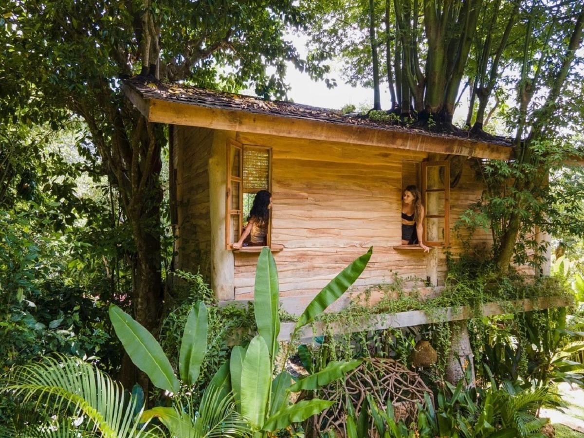 Lodge Roots Tree House