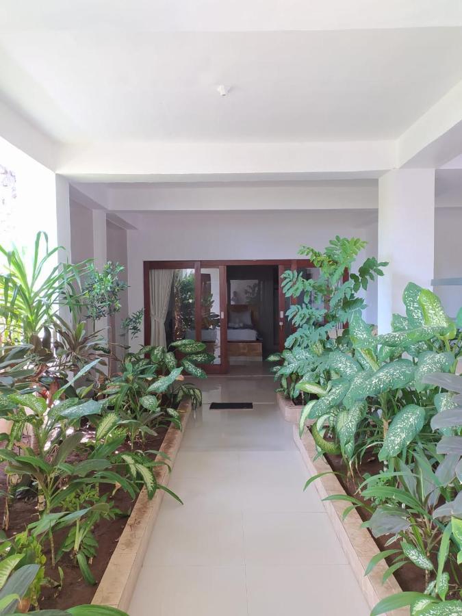 Hotel Ocean 3*