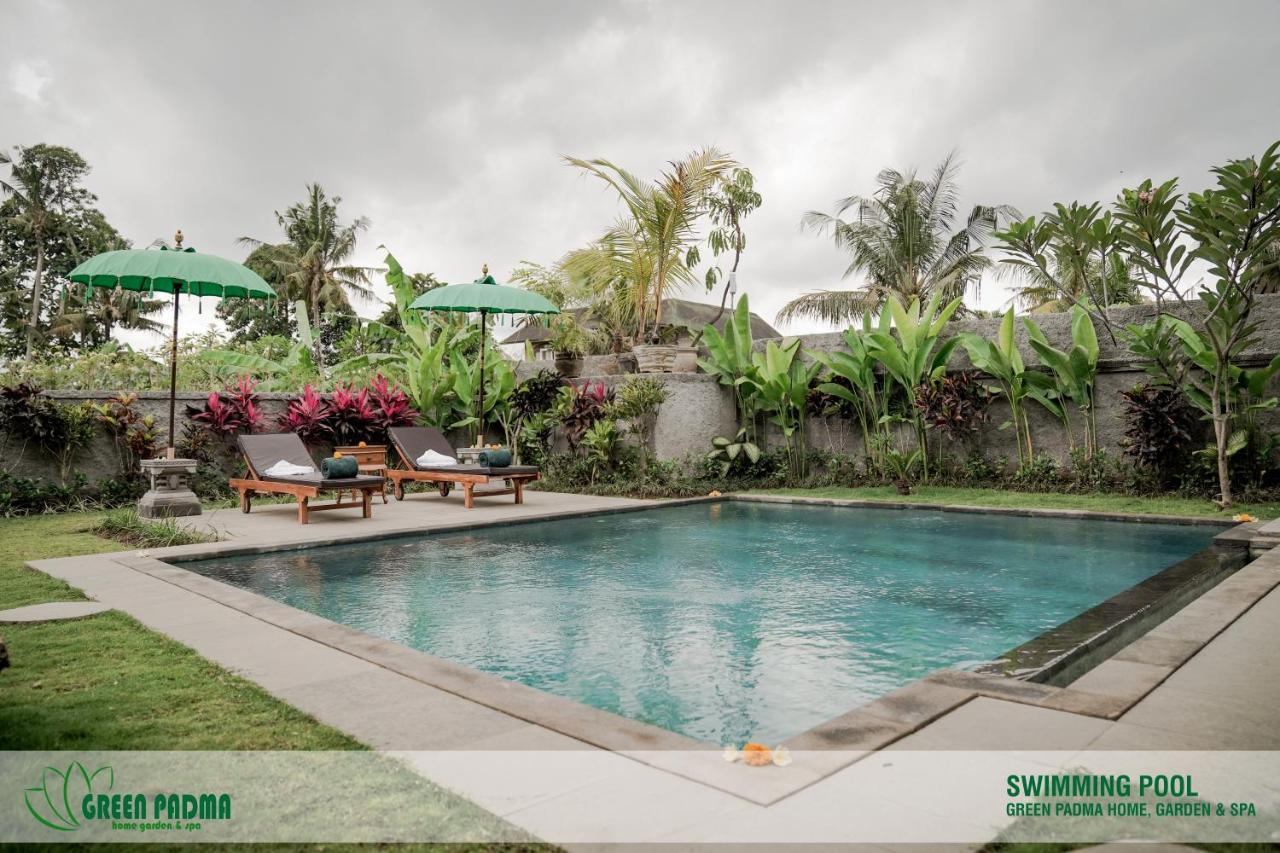 Apartment Padma *