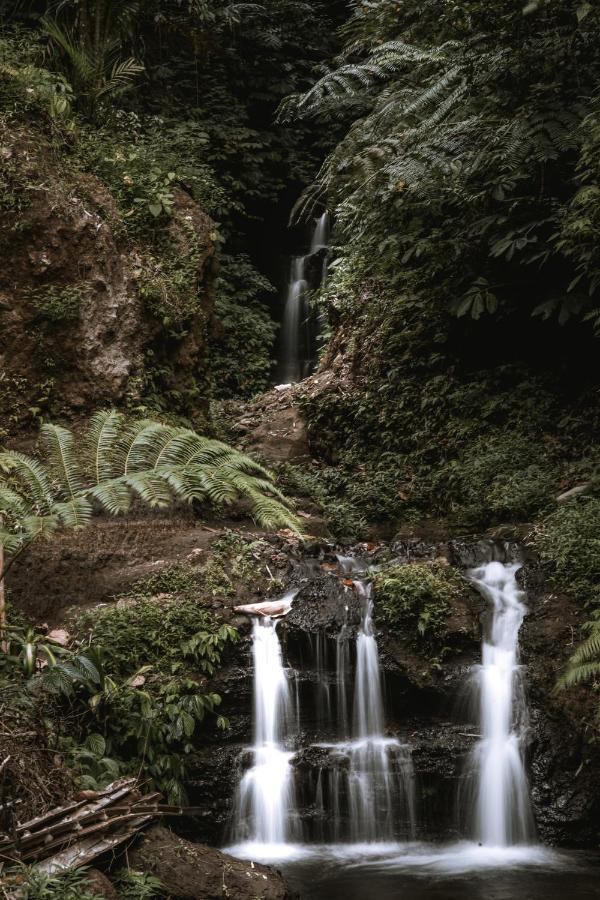 Gumi Ayu Ecostay * Munduk (Bali)
