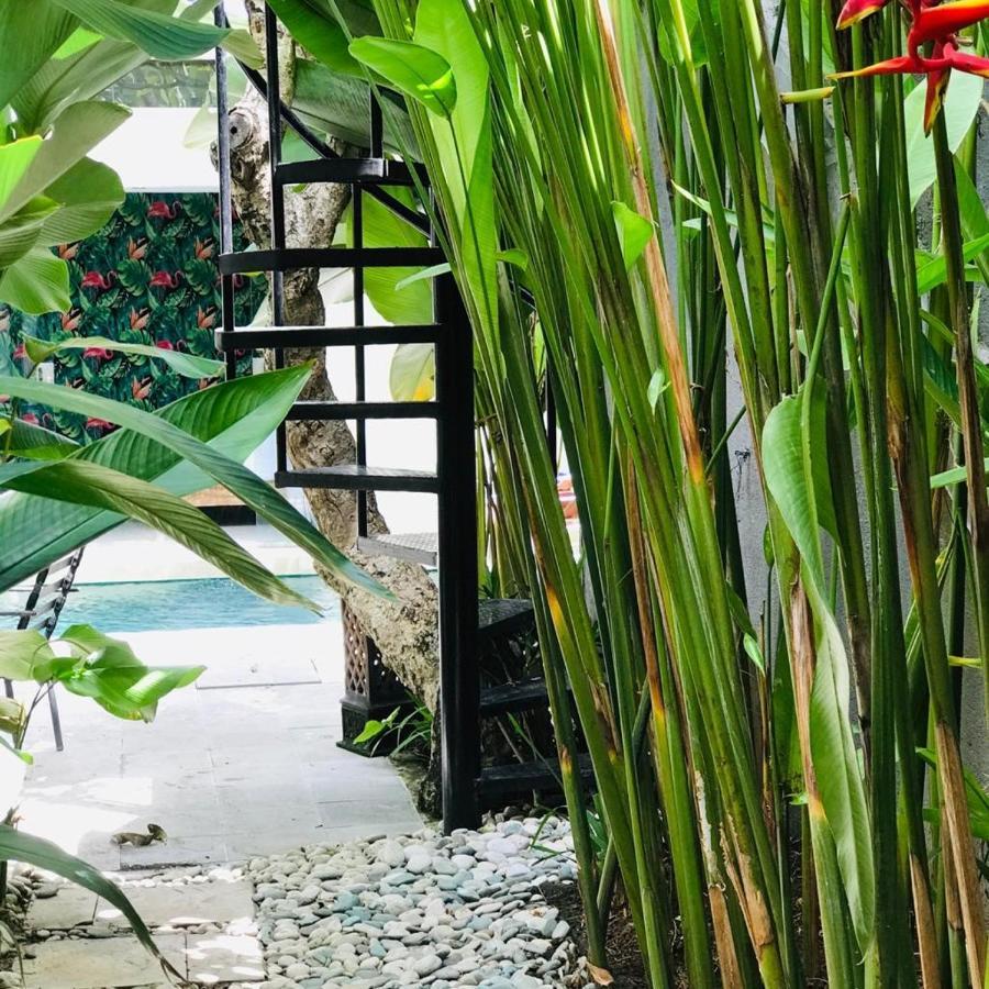 Madu Villa *