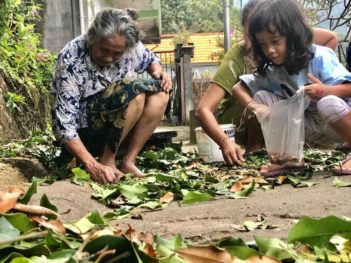 Wisma tamu Umah De Madya&rooftop De Madya Munduk (Bali)