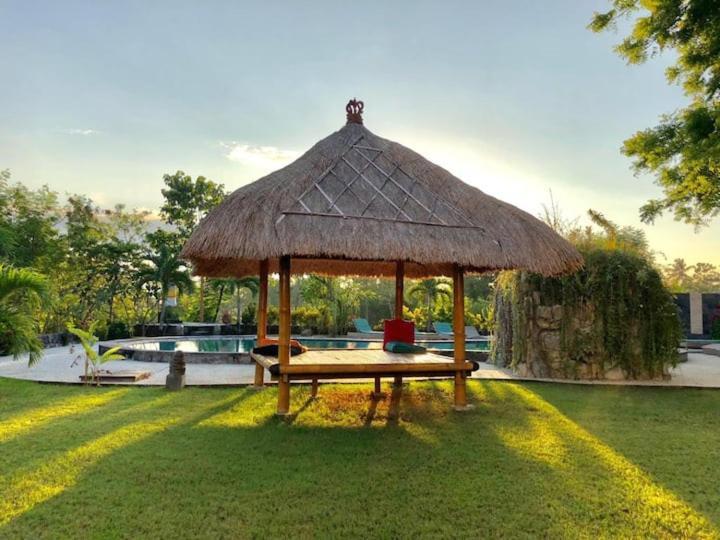 Bunga Laut Amed (Bali)